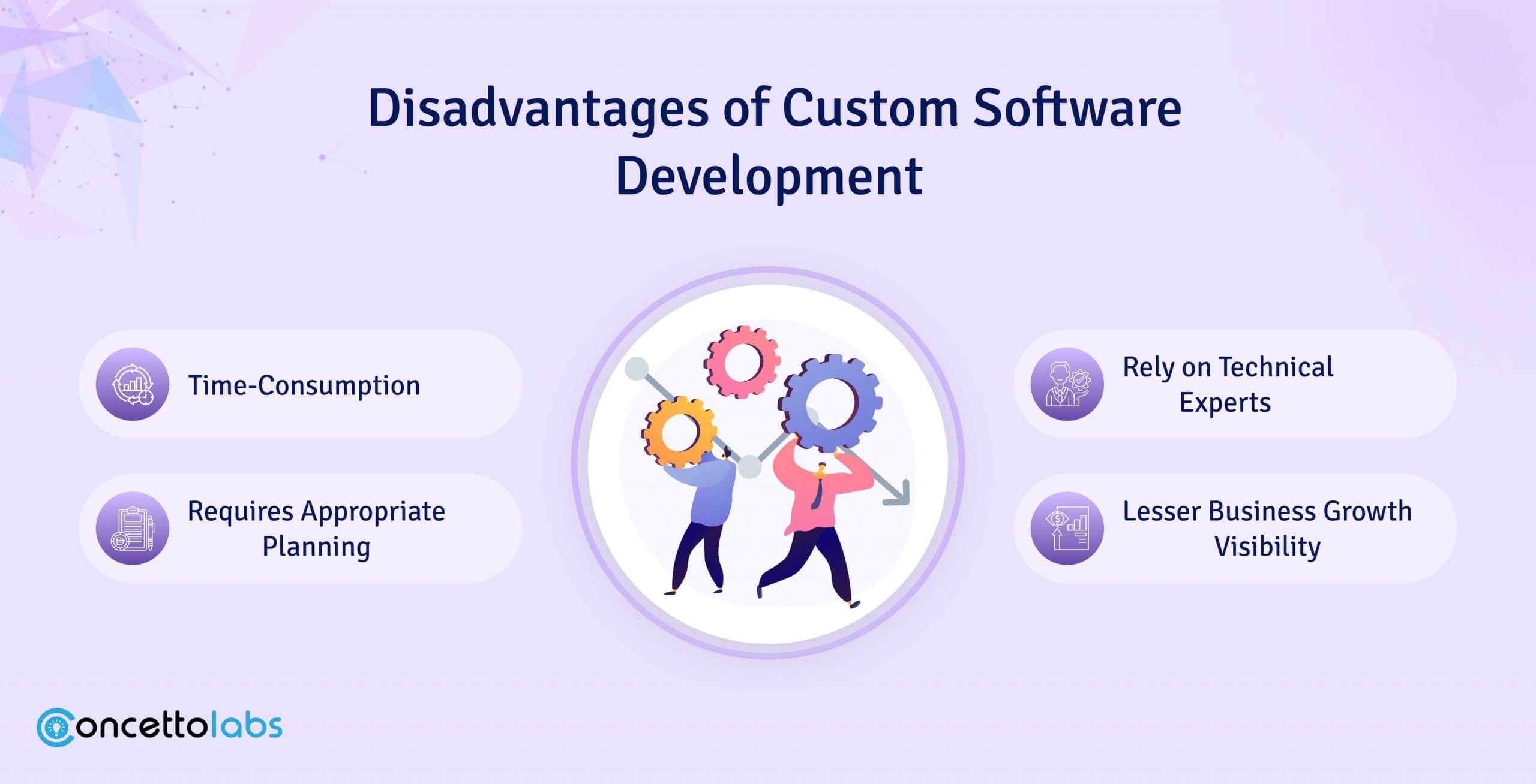Disadvantages of Custom Software Development Disadvantages of Custom Software Development
